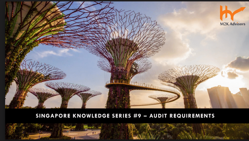 Audit Requirements in Singapore